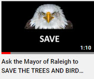 ask the mayor of raleigh to save the trees and bird habitat