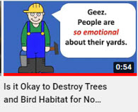 is it ok to destroy trees and bird habitat for no reason